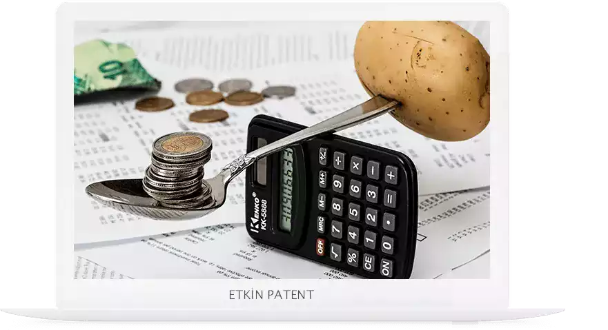 finansal davranışlara dair kombinasyon modeller-Kütahya Patent